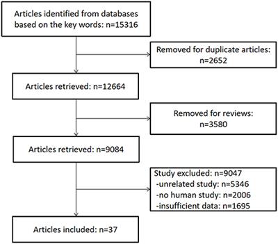 Evidence for Cognitive Decline in Chronic Pain: A Systematic Review and Meta-Analysis
